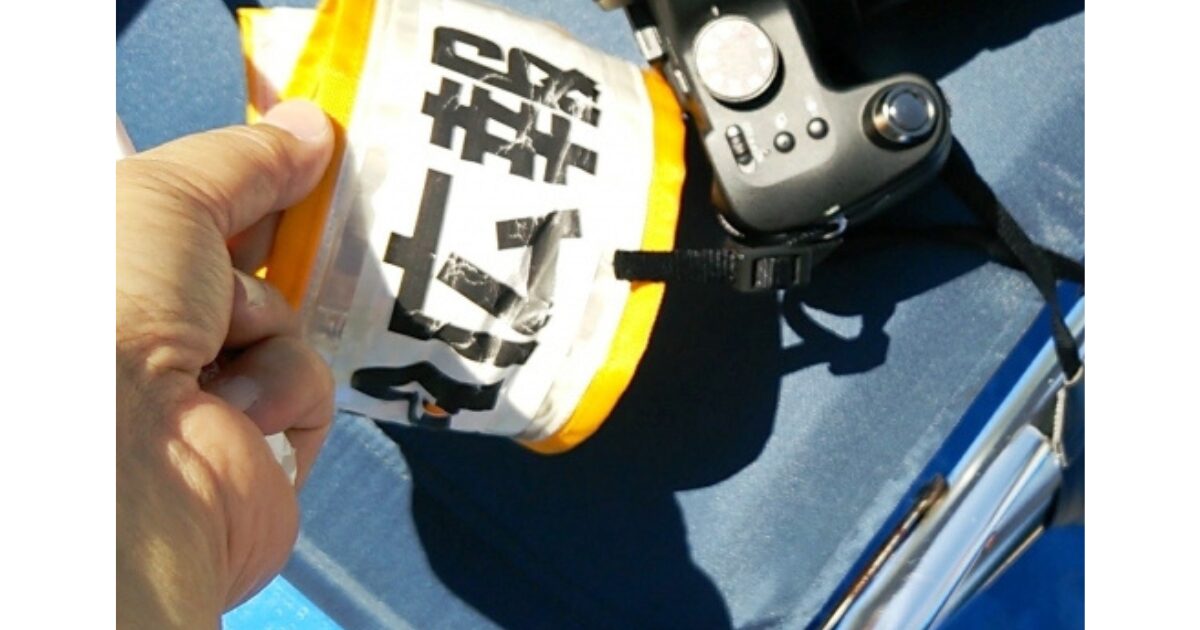 PTA広報委員は大変？委員長をやってみた正直な感想